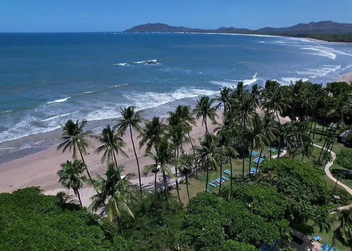 Diria 4*