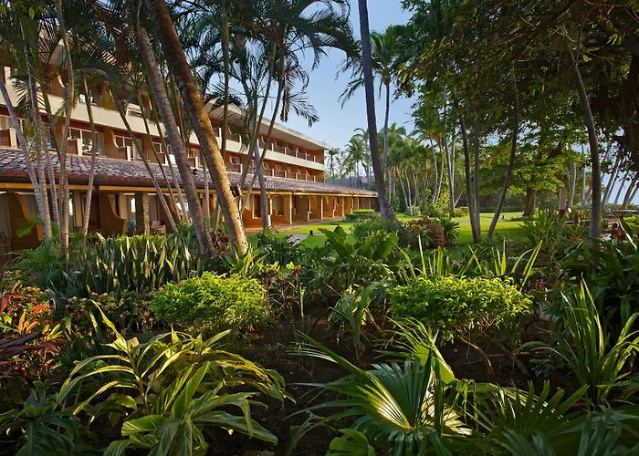 Diria Tamarindo